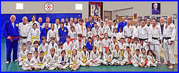 Image result for Halton Inclusive Judo Club