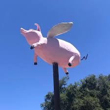 Image result for flying pigs