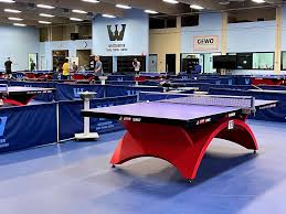 Image result for Tredegar & District Senior Table Tennis Club