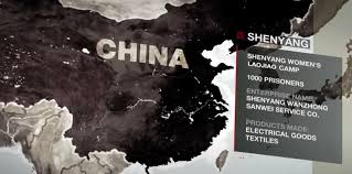 Image result for Laogai camps