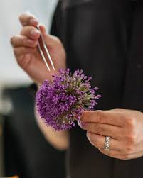 Attēlu rezultāti vaicājumam “Allium holandicum leaf”