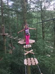 Image result for Go Ape! Dalby