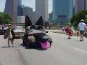 animal cars