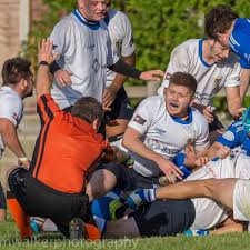 Image result for Ipswich Rfc