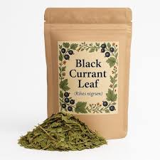 Attēlu rezultāti vaicājumam “Ribes nigrum leaf”