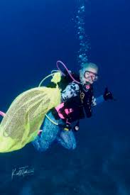 Image result for Seabug Divers