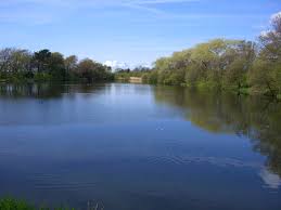 Image result for Diggle Angling Club
