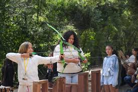 Image result for Lyme Valley Archers