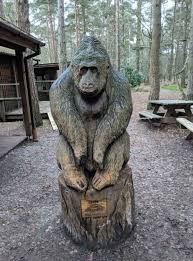 Image result for The Go Ape Experience (Swinley Forest)