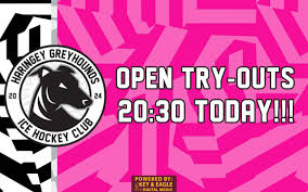 Image result for Haringey Greyhounds Ice Hockey Club