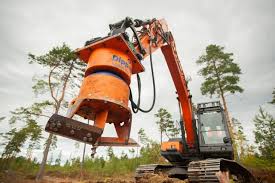 Image result for dipperfox tehron