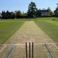 Image result for Bearsted Cricket Club