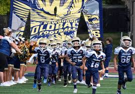 Image result for New Latchingdon Youth Football Club