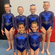 Image result for Coalville Gymnastics Club