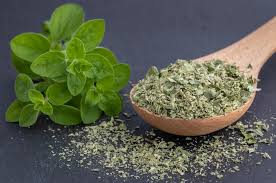Image result for Oregano