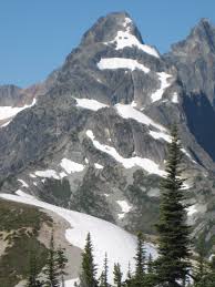 Image result for Dearne Valley Devils