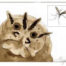 Attēlu rezultāti vaicājumam “Tipulidae larva”