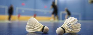 Image result for Heathside Badminton Club