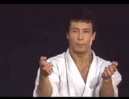 Image result for British Karate Shunen Jutsu