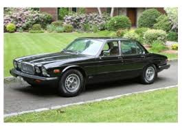 Image result for Black 1987 Jaguar