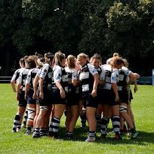 Image result for Sutton & Epsom Rugby Football Club