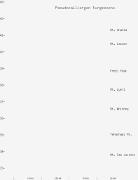 Attēlu rezultāti vaicājumam “Pseudocalliergon turgescens”