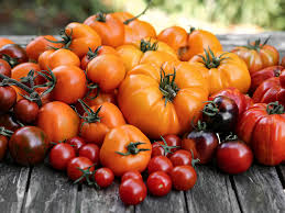 Bildergebnis für tomaten