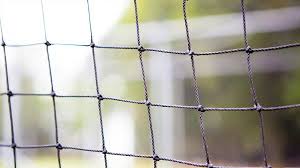 Image result for Follifoot Cc