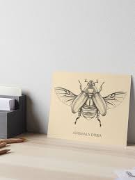 Attēlu rezultāti vaicājumam “Anomala dubia”