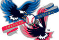 Yay or Nay for Interleague Play?” | TheSportsKraze