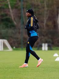 Image result for Manunitid