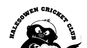 Image result for Halesowen Cricket Club