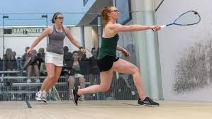 Image result for Dartmouth Badminton Club