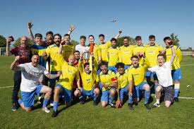 Image result for Wrentham Football Club