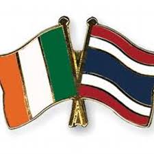 Image result for Cork Thai Boxing Club