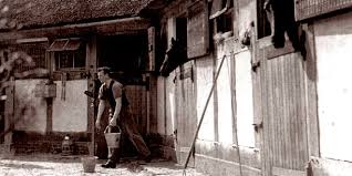 Image result for Old Park Riding Stables