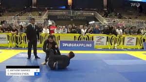 Image result for Marsden martial arts