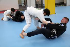 Image result for Intelligent Martial Arts