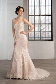 Image result for cosmobella