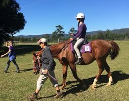 Image result for Riding For The Disabled