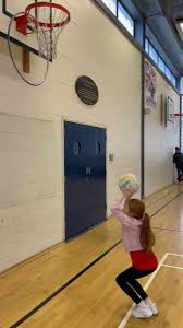 Image result for Blaze Netball Club