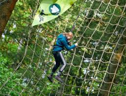 Image result for Go Ape! Alice Holt