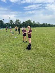 Image result for Wollaston Cricket Club