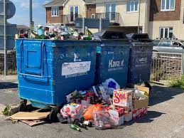 Image result for Lytchett Manor Smbc