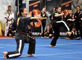 Image result for ATA Martial Arts Maple Ridge
