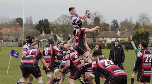 Image result for Dunstablians Rugby Union Football Club