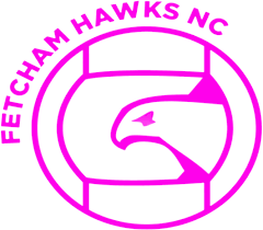 Image result for Fetcham Netball Club
