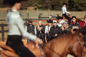 Image result for South Weylands Equestrian