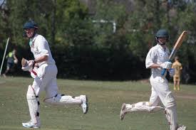Image result for Hampole & Skelbrooke Cricket Club