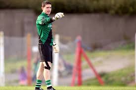 Image result for Parnells Gaelic Football Club